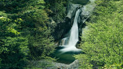 新緑の神蛇滝