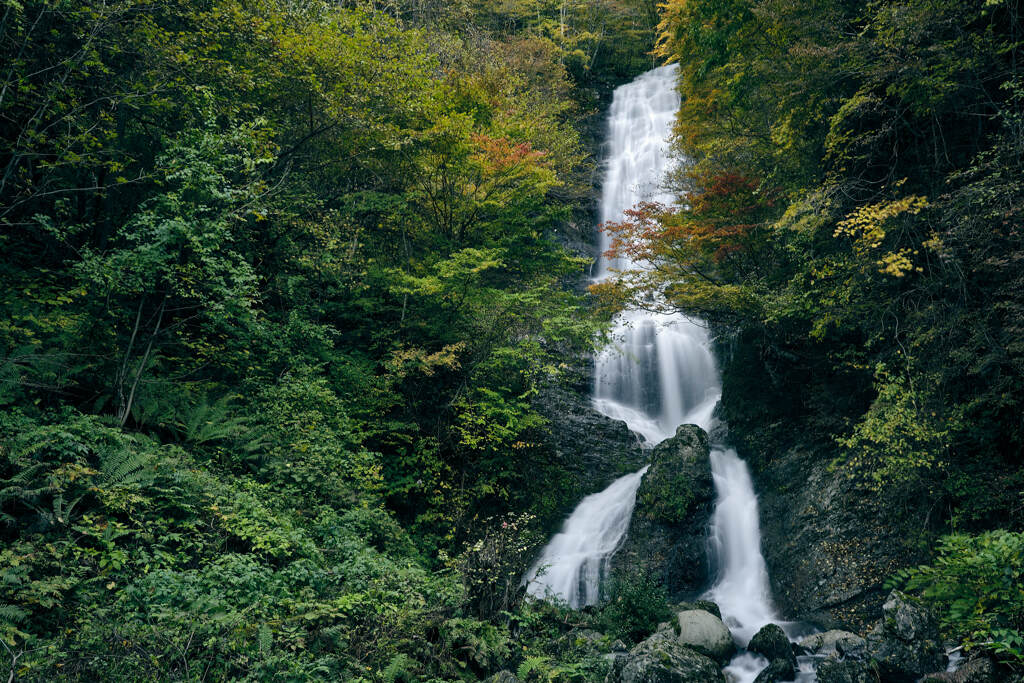唐沢の滝①