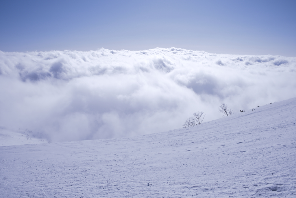 雲と雪の夢