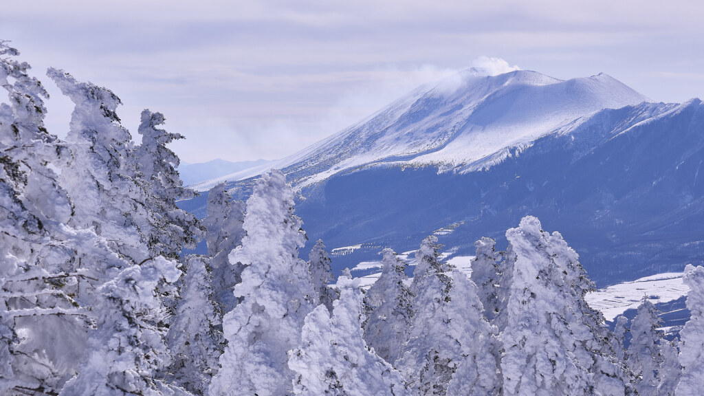 樹氷と火山