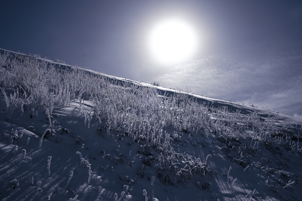 太陽と雪原