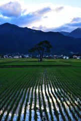 田園