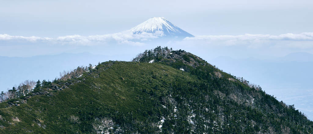 富士を望む