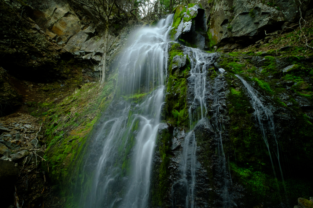 穏やかで清らか