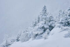 雪の舞う山②