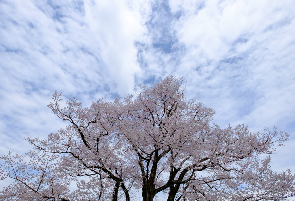 空を覆う