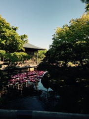 午後の庭園