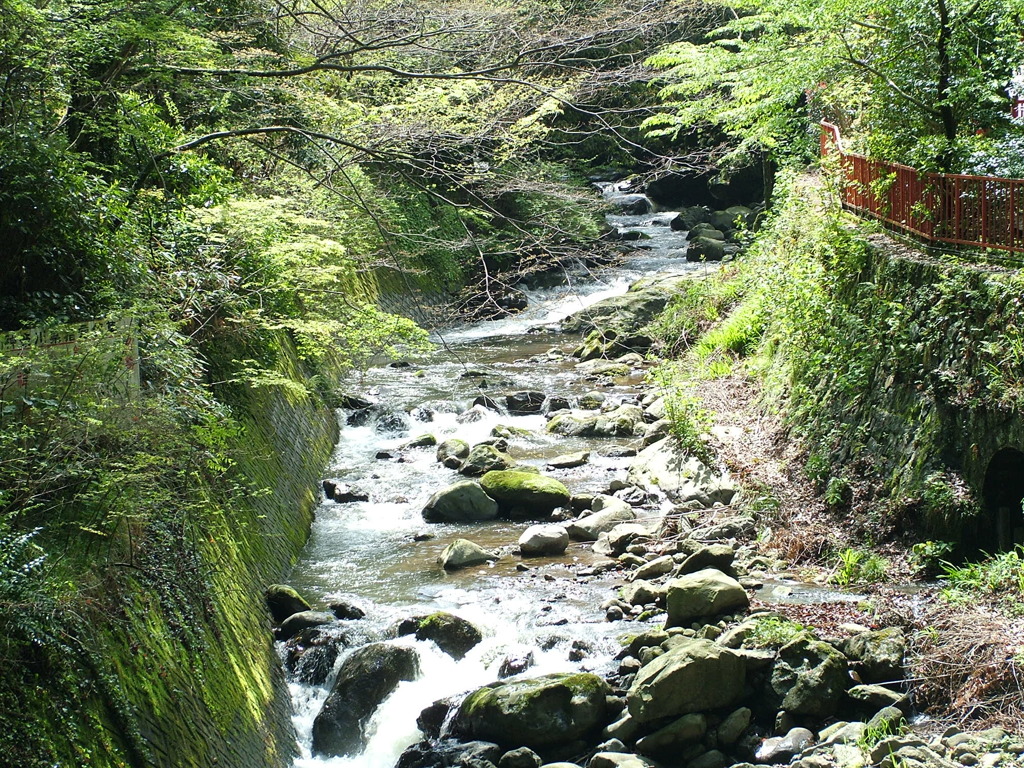 万葉公園2006_0420(025)