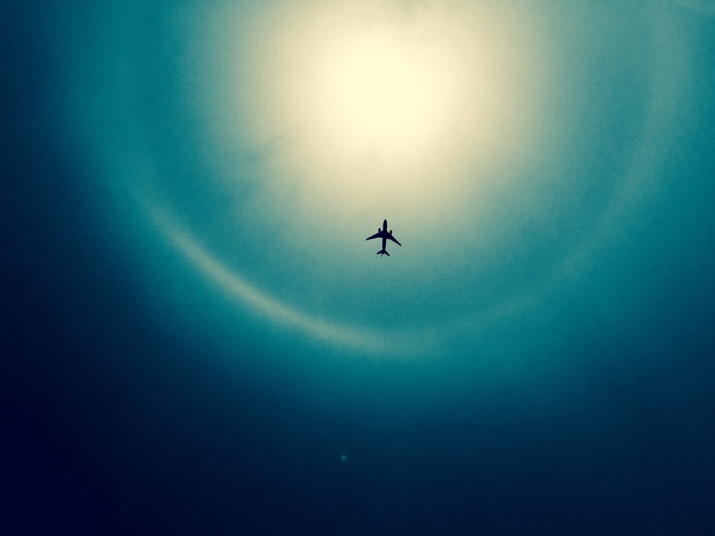 上を見上げたら