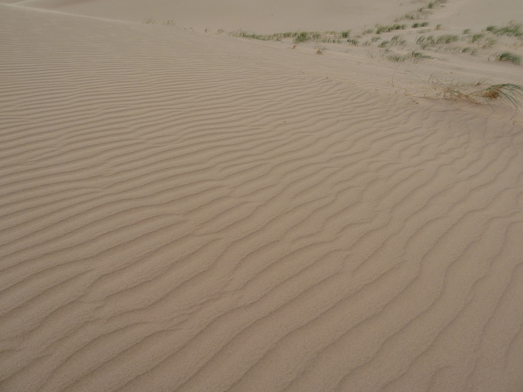 ゴビ砂漠の砂