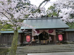 桜咲く神社