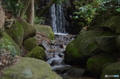 小さな滝のせせらぎ