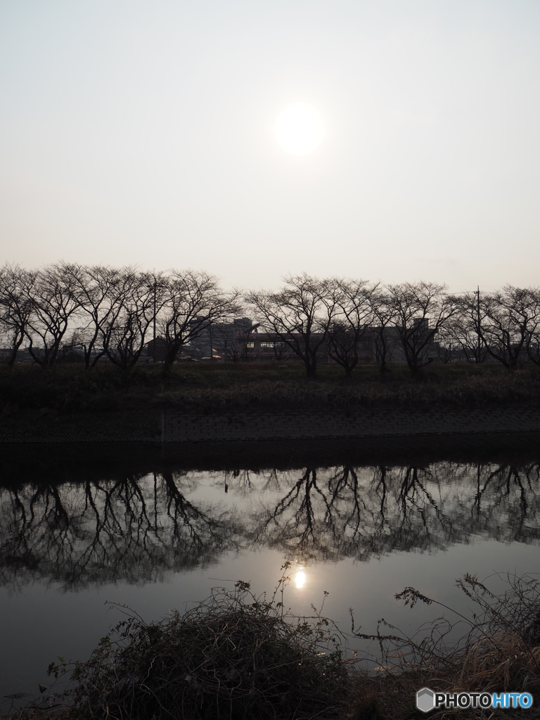 太陽はどこ？