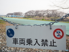 皆で歩こう