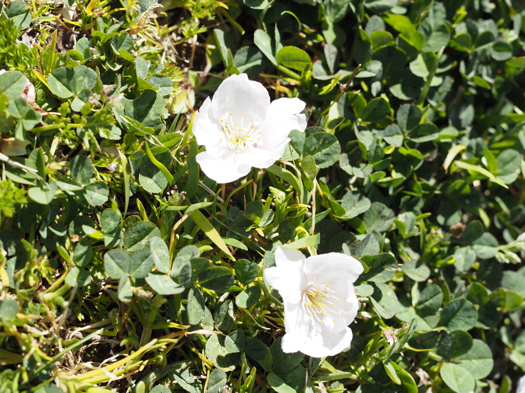 P3120462