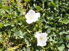 P3120462