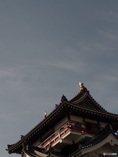 天を仰いで