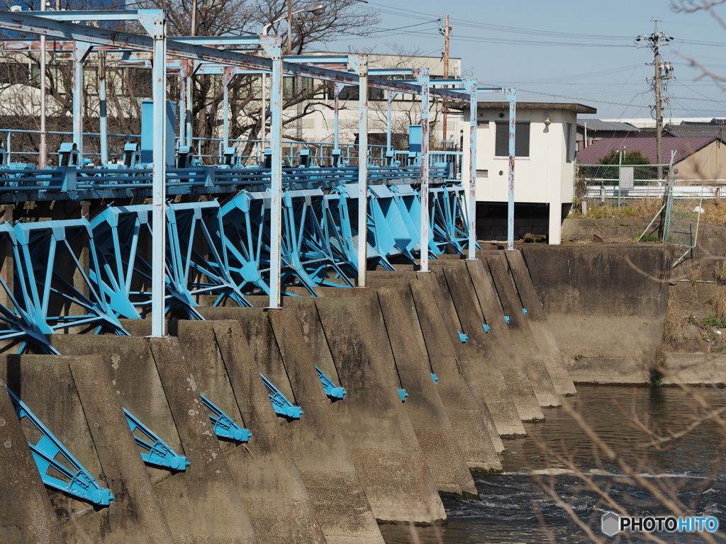 川の何か