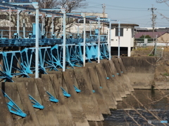 川の何か