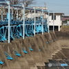 川の何か