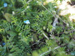 P3120451
