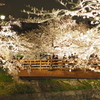 夜桜と橋