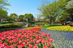 昭和記念公園にて