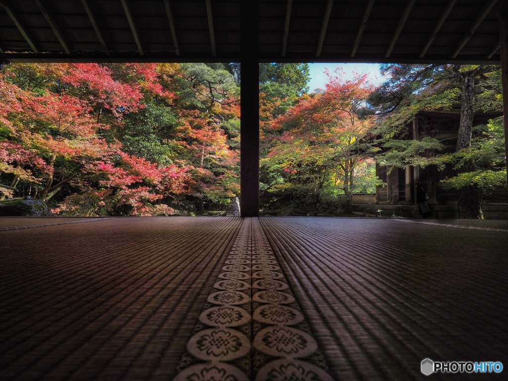 蓮華寺