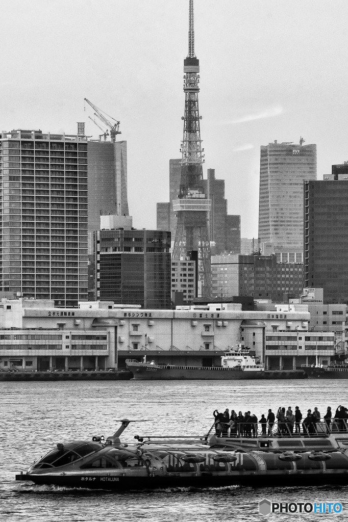 東京タワーとホタルナ