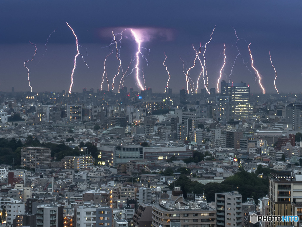 雷の毛細血管？