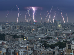 雷の毛細血管？