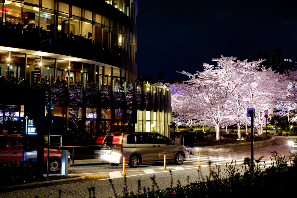 東京ミッドタウン夜桜