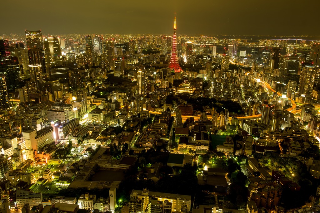 東京夜景