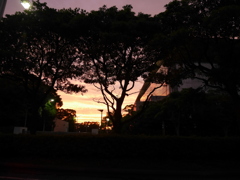 幕張の夕日