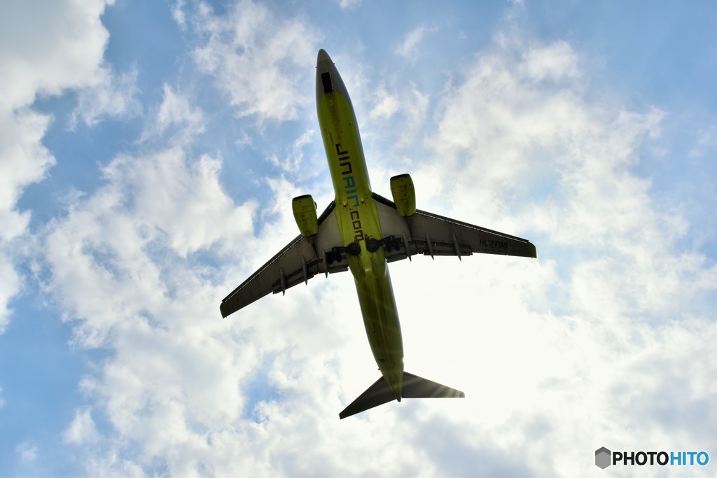 青い空に目立つ黄色い奴