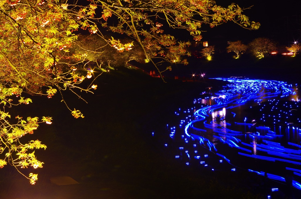 静岡 夜桜☆流れ星