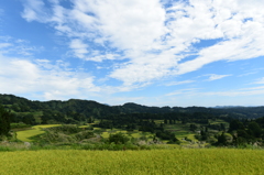 DSC_1058