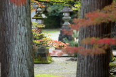 岡太神社