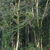 対岸の風景