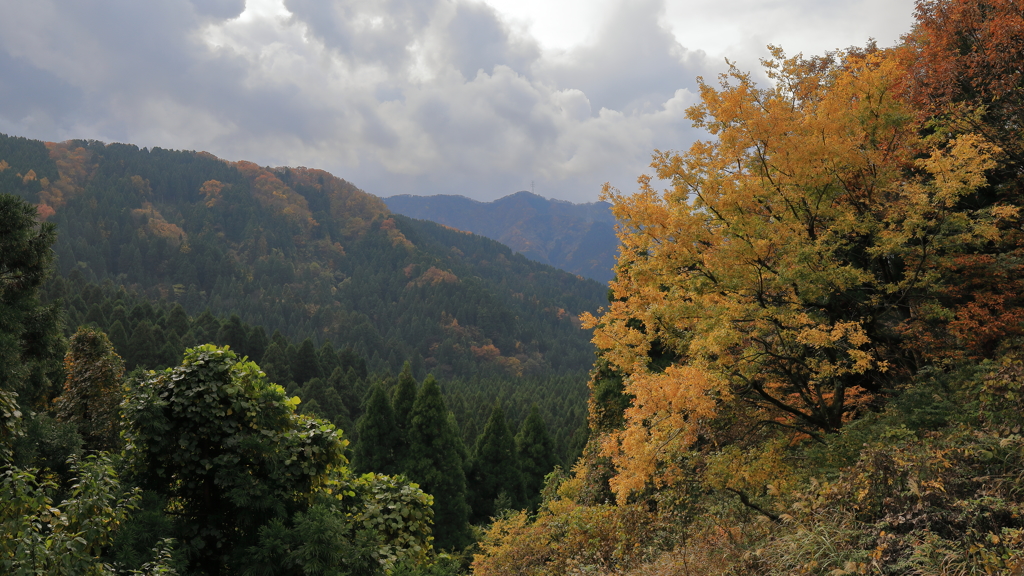 秋深し、天気はいまいち