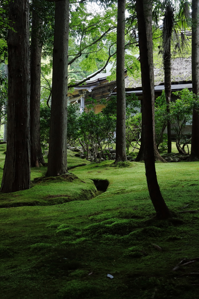 風景