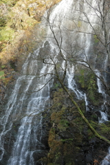 冬の龍双ヶ滝