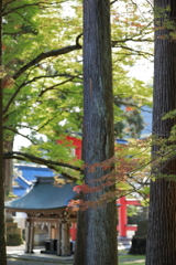 岡太神社