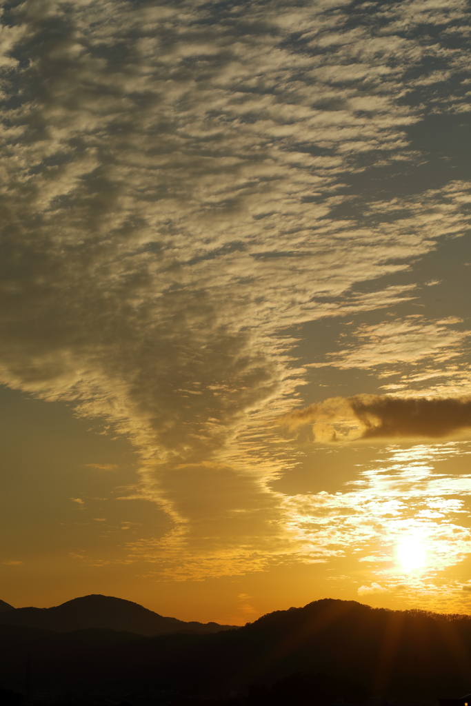 金色の夕景