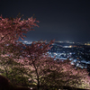 夜桜と夜景