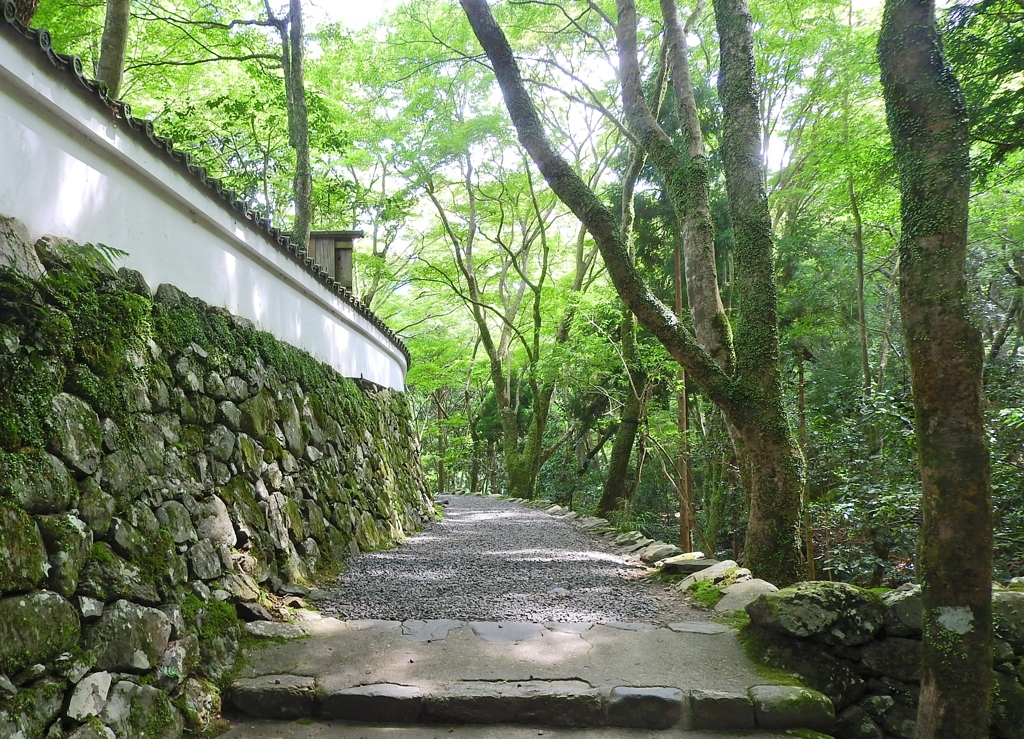 京都　高雄　高山寺