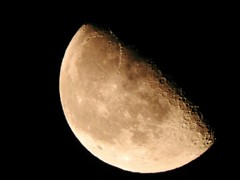 月をとってみました