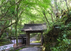 京都　高雄　高山寺