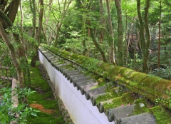 京都　高雄　高山寺