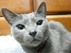 見た目より年食ってます。